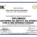 Ampliar imagen: certificate 7