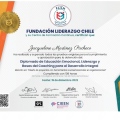 Ampliar imagen: certificate 4