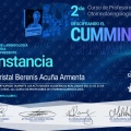 Ampliar imagen: certificate 7