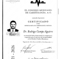 Ampliar imagen: certificate 13