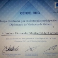 Ampliar imagen: certificate 4