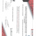Ampliar imagen: certificate 10