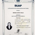 Ampliar imagen: certificate 2