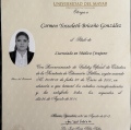 Ampliar imagen: certificate 3