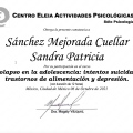 Ampliar imagen: certificate 5