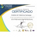 Ampliar imagen: certificate 3
