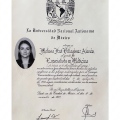 Ampliar imagen: certificate 6