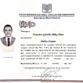 Ampliar imagen: certificate 1