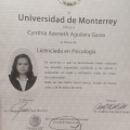 Ampliar imagen: certificate 4