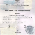 Ampliar imagen: certificate 3
