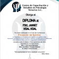 Ampliar imagen: certificate 7