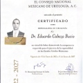 Ampliar imagen: certificate 2