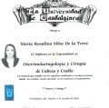 Ampliar imagen: certificate 2