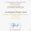 Ampliar imagen: certificate 1