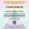 Ampliar imagen: certificate 4