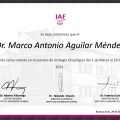 Ampliar imagen: certificate 3