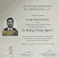 Ampliar imagen: certificate 1