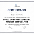 Ampliar imagen: certificate 7