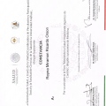 Ampliar imagen: certificate 5