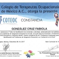 Ampliar imagen: certificate 11