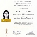 Ampliar imagen: certificate 8