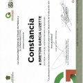 Ampliar imagen: certificate 18