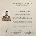 Ampliar imagen: certificate 1