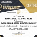Ampliar imagen: certificate 4