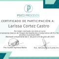 Ampliar imagen: certificate 6