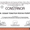 Ampliar imagen: certificate 80
