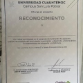 Ampliar imagen: certificate 5