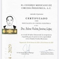 Ampliar imagen: certificate 2