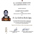 Ampliar imagen: certificate 5