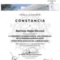 Ampliar imagen: certificate 9