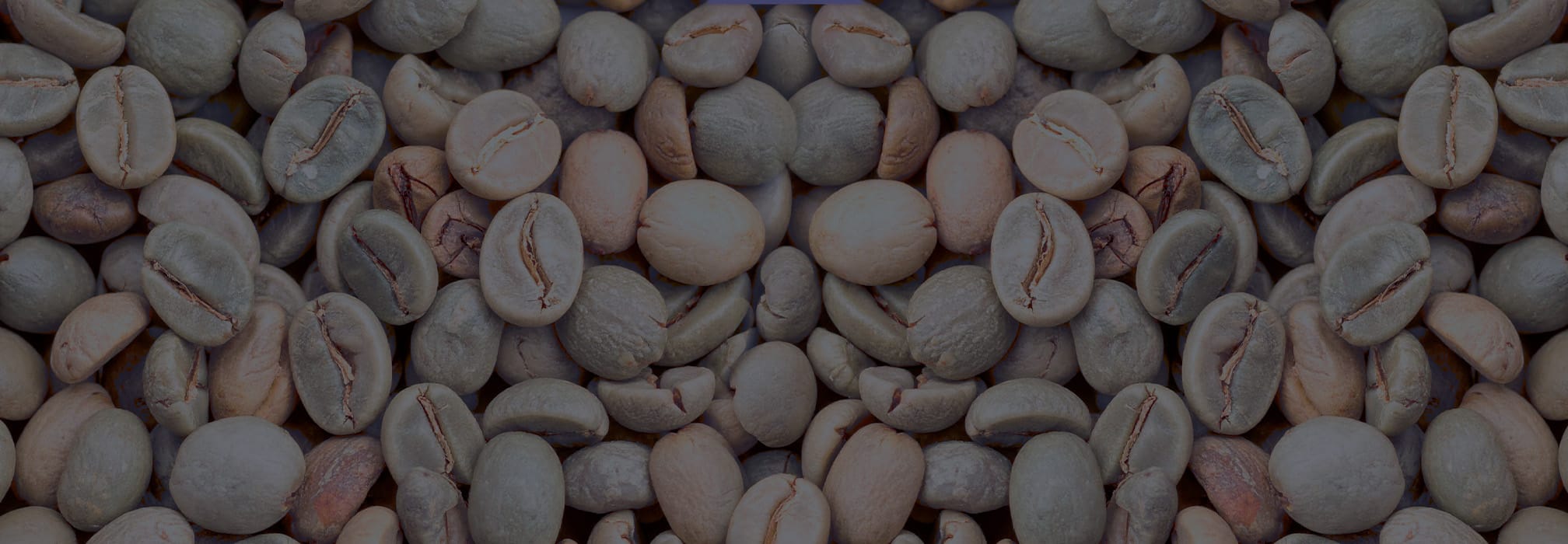 Green coffee beans as a background of Hero 1