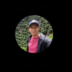 Coffee farm landscape with workers harvesting ripe coffee cherries.