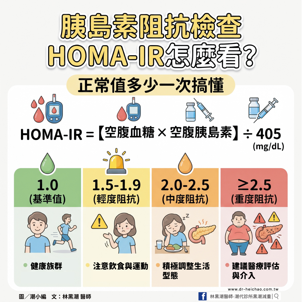胰島素阻抗檢查 HOMA-IR怎麼看? 正常值多少一次搞懂