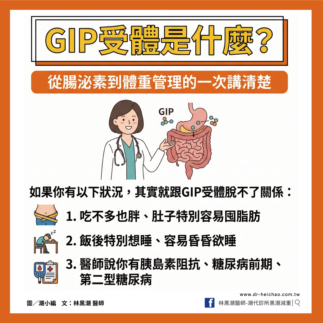 GIP受體是什麼？從腸泌素到體重管理的一次講清楚