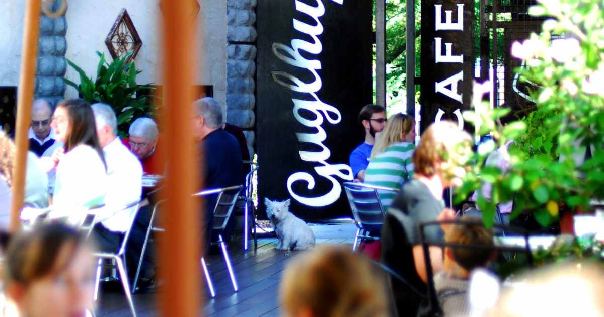 Brunch Your Way Through Durham Discover Durham