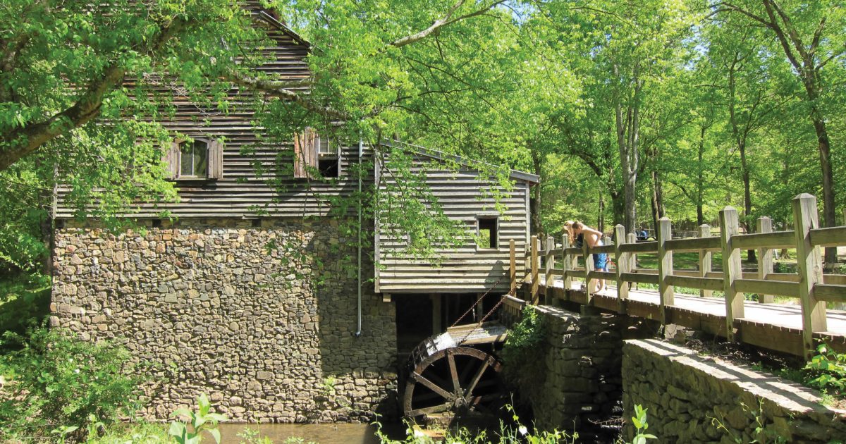 6 Picnic Spots in Durham With Breathtaking Views Discover Durham