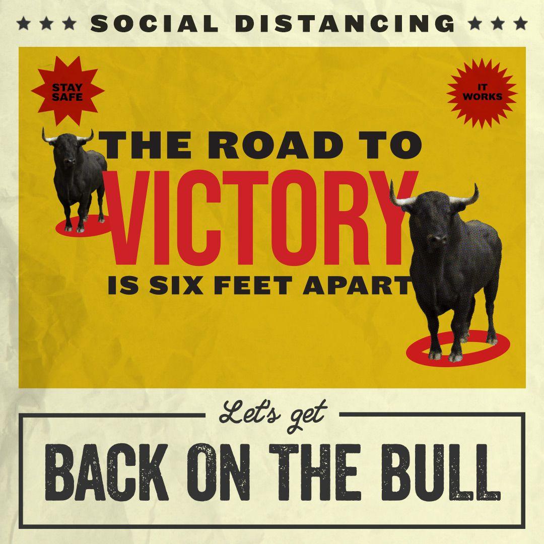 Back on the Bull