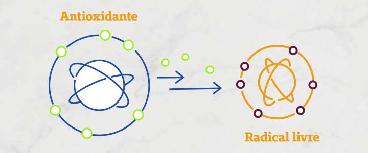 Radicais livres e antioxidantes: qual sua relação? | Bioage