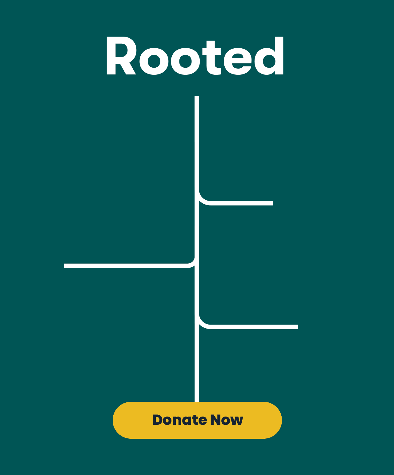 Rooted in the collective action we inspire. Donate now.