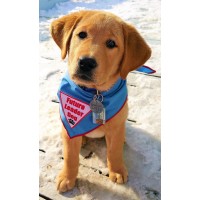 Leader Dogs for the Blind Leader Dogs for the Blind