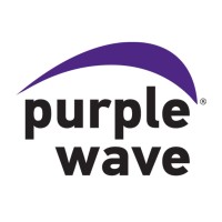 Purple Wave Auction Purple Wave Auction