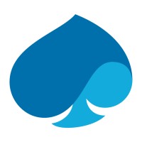 Capgemini Capgemini