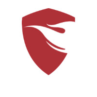 Knight Federal Solutions Knight Federal Solutions