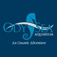 OdySea Aquarium OdySea Aquarium