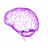 LearningRx LearningRx