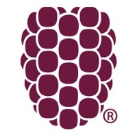 Dewberry Dewberry